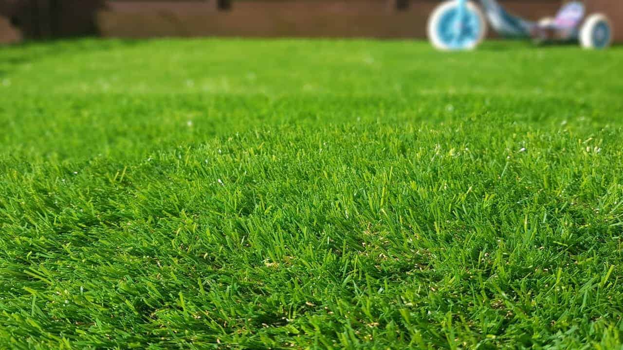 لیست قیمت چمن مصنوعی( خرداد ۱۴۰۴ )